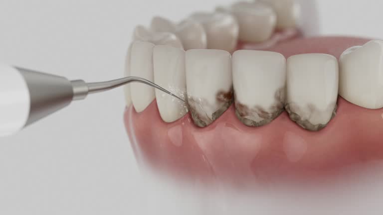 Reliable Dental contractor in Ravenswood, WV by Dentist Open Now